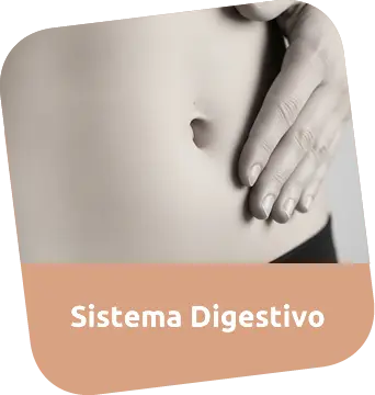 Consulta Médica para Sistema Digestivo