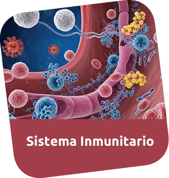 Consulta Médica para Sistema Inmunitario