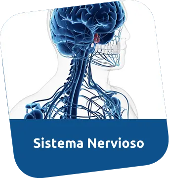 Consulta Médica para Sistema Nervioso