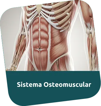 Consulta Médica para Sistema Osteomuscular
