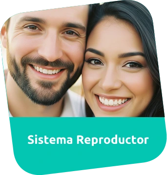 Consulta Médica para Sistema Reproductor