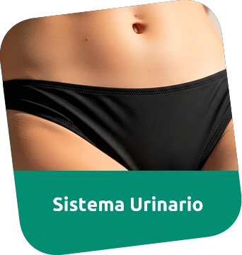 Consulta Médica para Sistema Urinario
